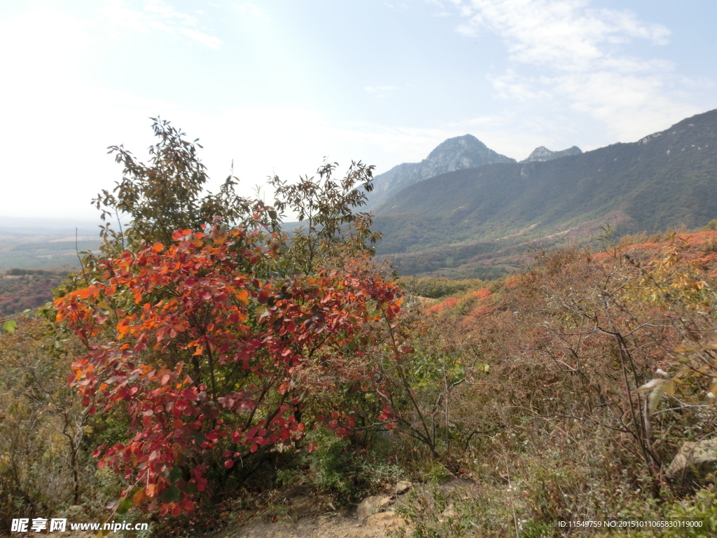 少室山秋景