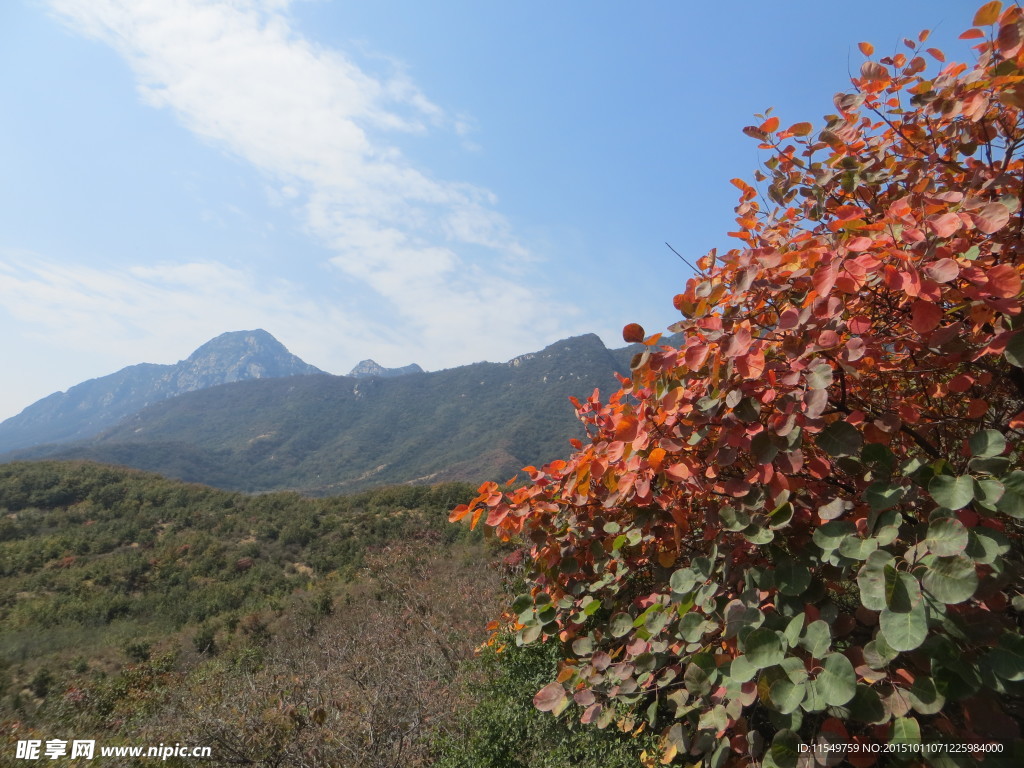 少室山秋景