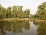 蟹岛湖湿地