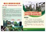 旅游DM宣传单
