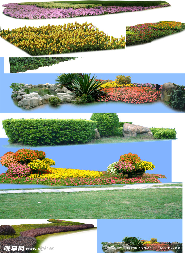 素材 地蓓植物 贴图