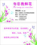 勿忘我鲜花名片