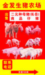 金发生猪农场广告立牌