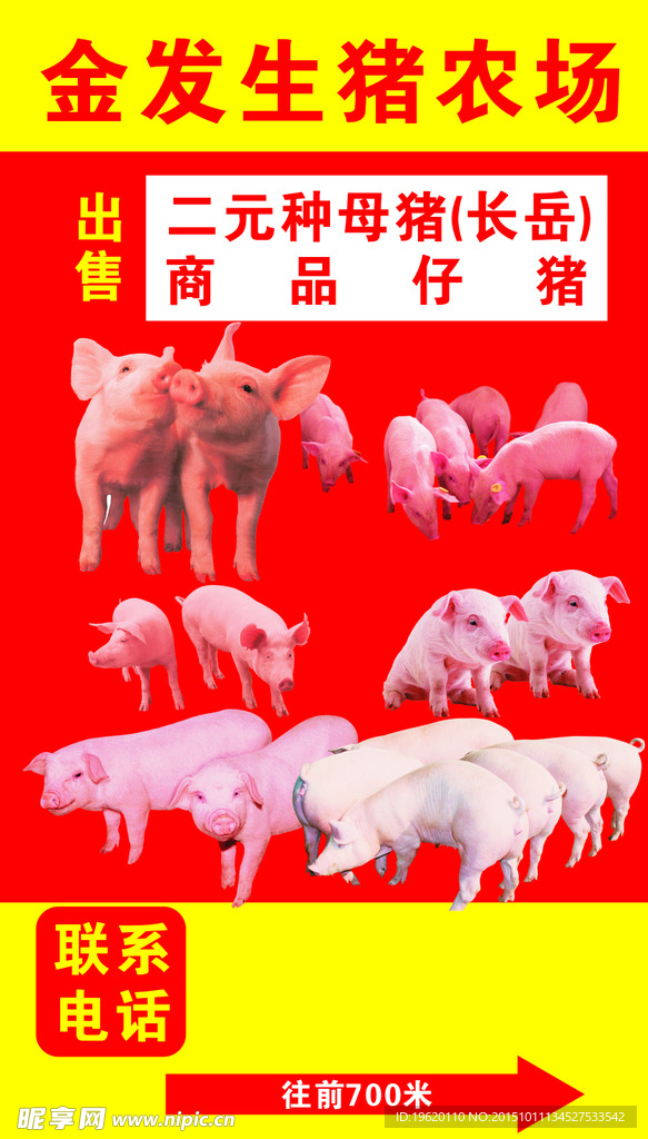 金发生猪农场广告立牌