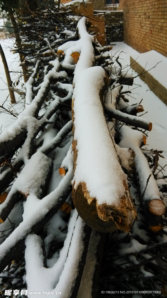 木头的积雪  雪特写 雪景