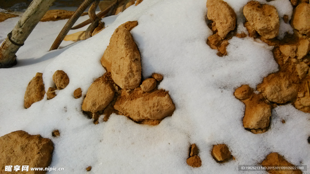 积雪 雪特写 雪