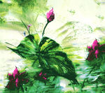 定位花