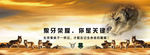企业荣誉
