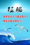 校园文化