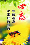 校园文化