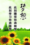 校园文化