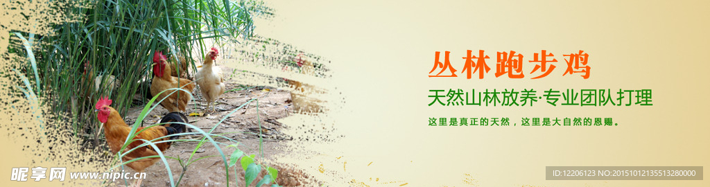 淘宝网站通栏banner家禽