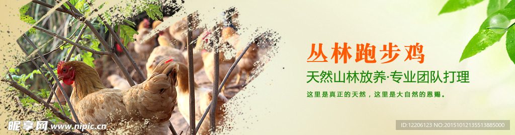 淘宝网站通栏banner家禽