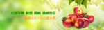 淘宝网站通栏banner水果