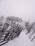 雪景