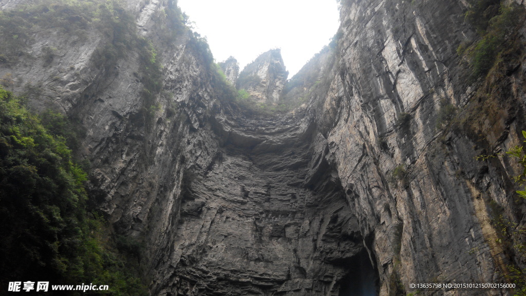 鹰