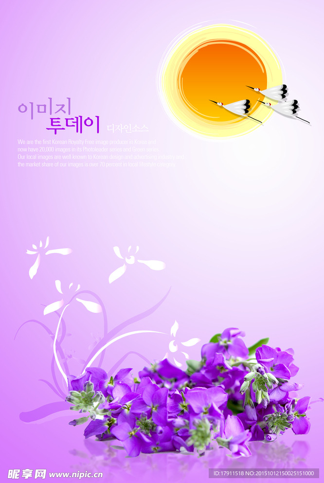 鲜花海报