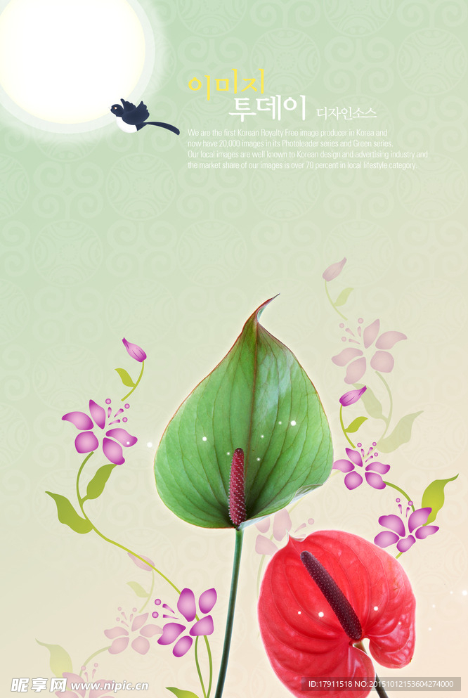 鲜花海报