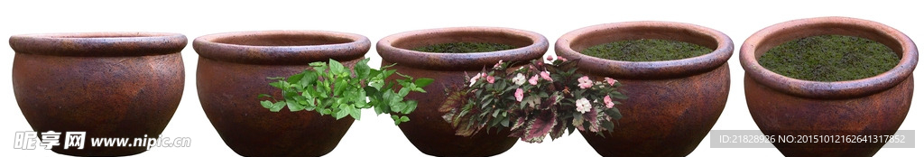 花盆