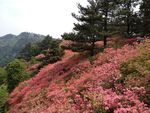 湖北麻城龟峰山