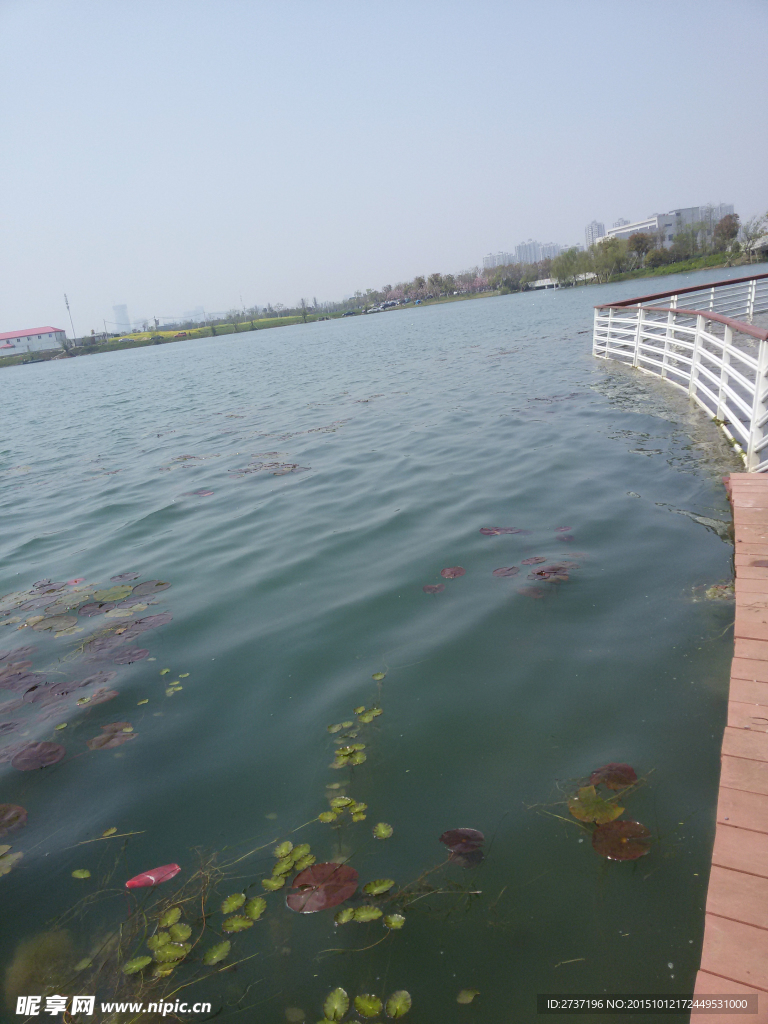 太湖风景