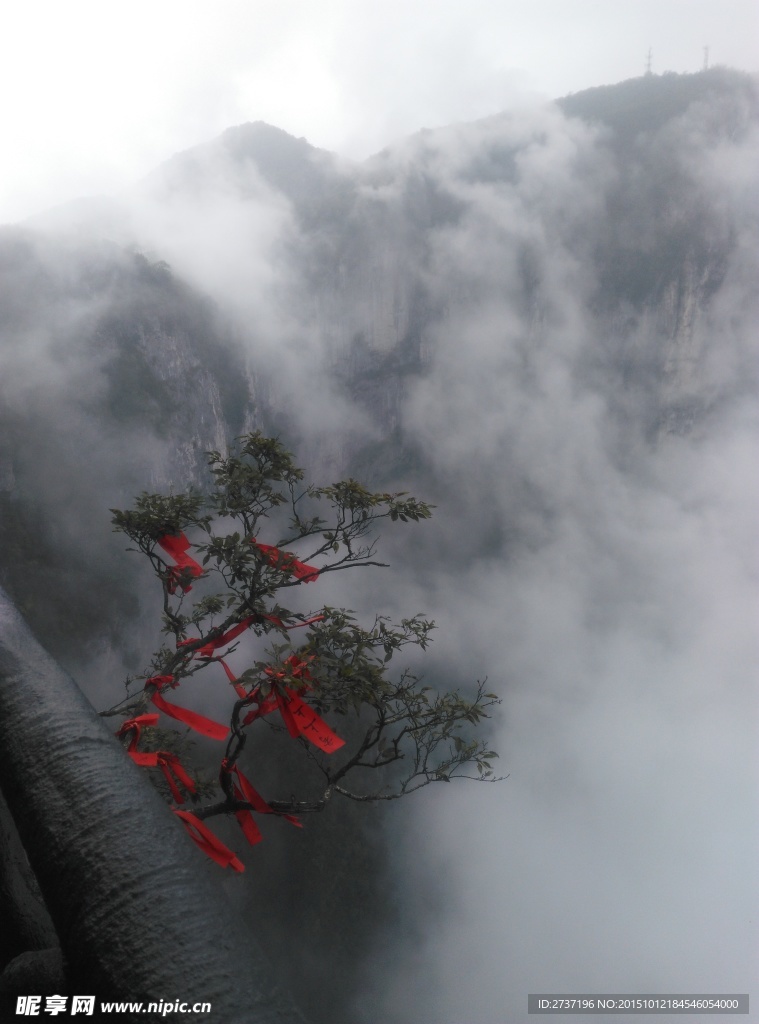 张家界天门山森林公园