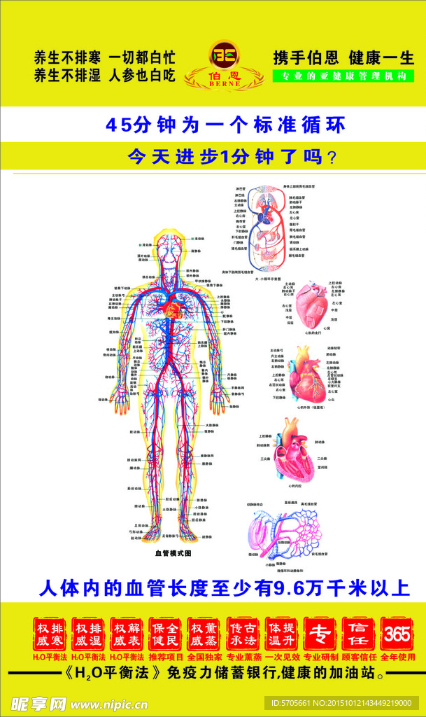 45周分期 养生图