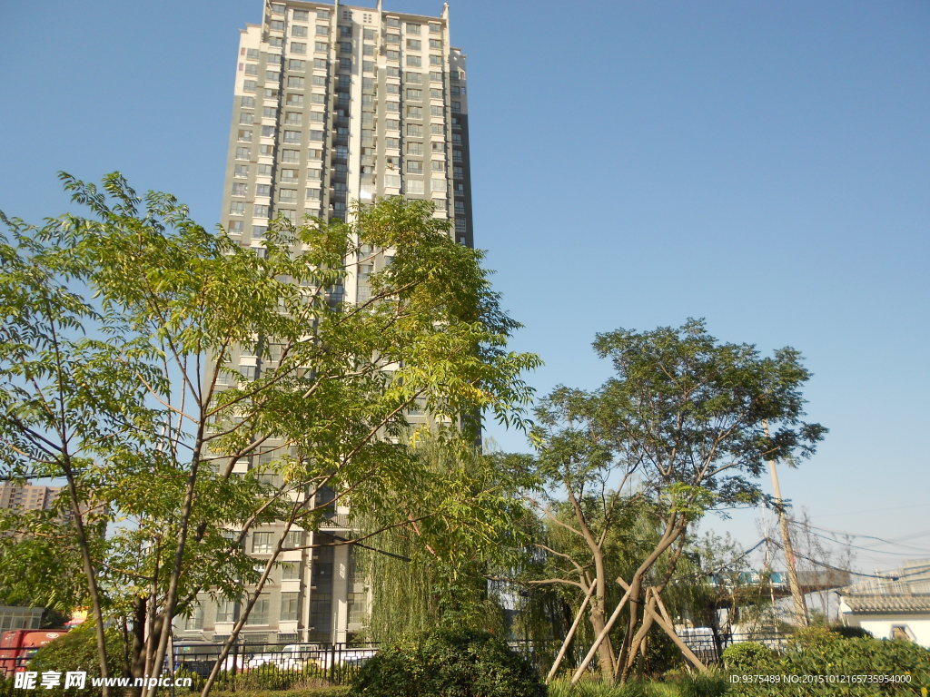 城市风景