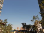 小区风景
