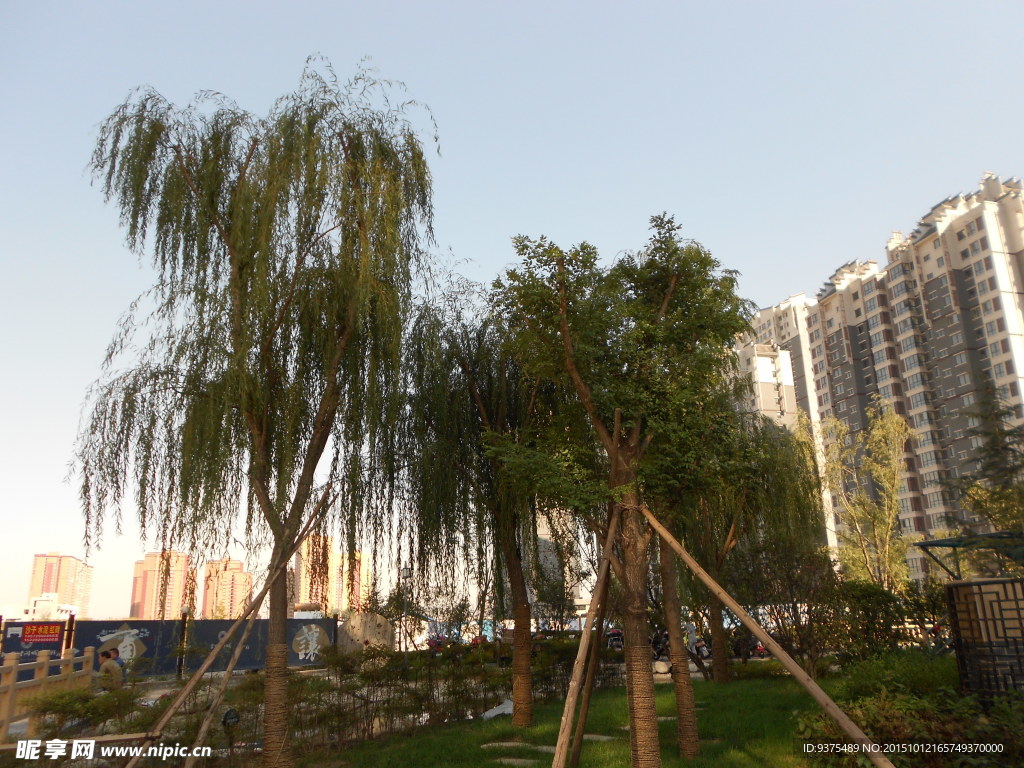 小区风景