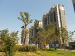 小区风景
