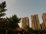 城市风景