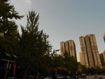 城市风景