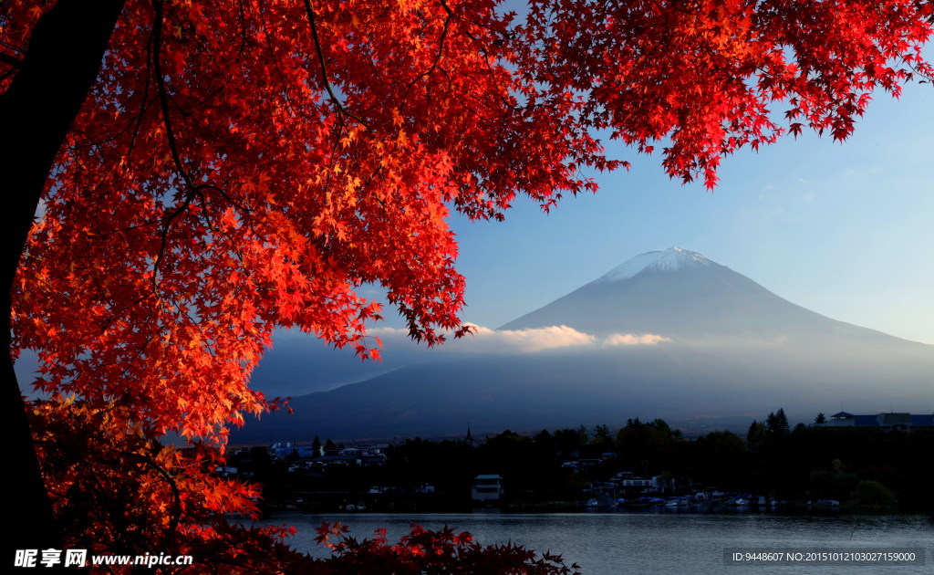 富士山红枫叶