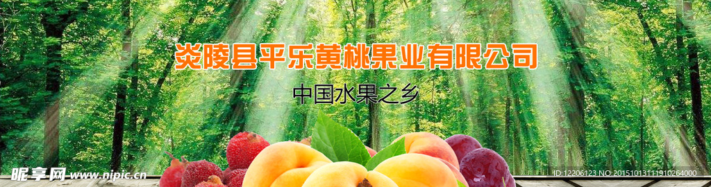 淘宝网站通栏banner水果