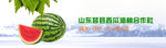 淘宝网站通栏banner水果
