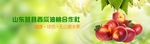 淘宝网站通栏banner水果