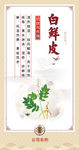 中药卡片