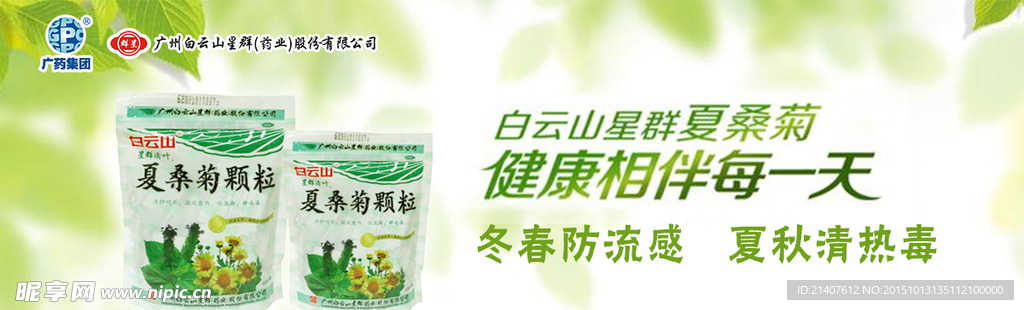 星群夏桑菊