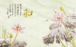 工笔荷花夏荷