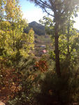 山头风景