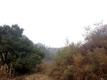 山区