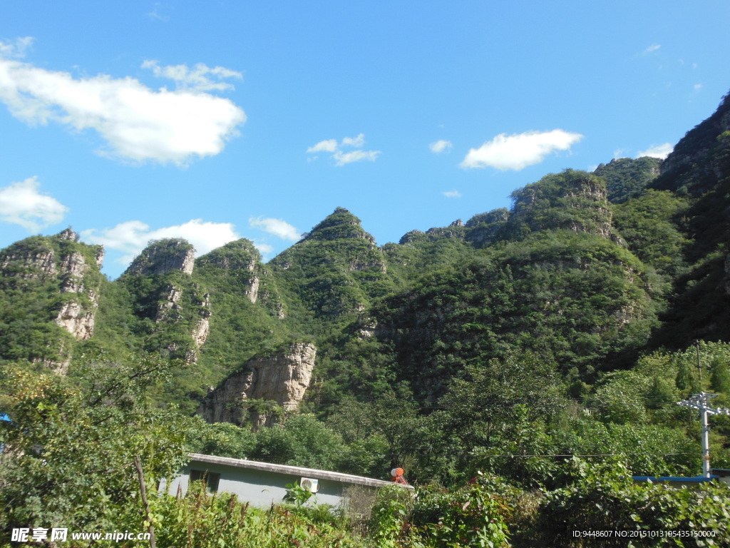 青山