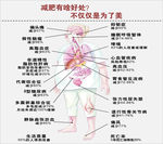 减肥广告海报