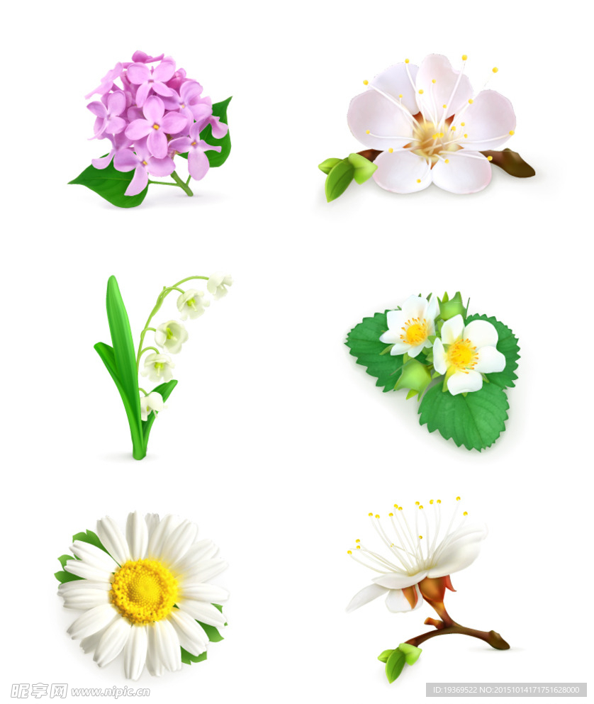 花卉设计矢量素材