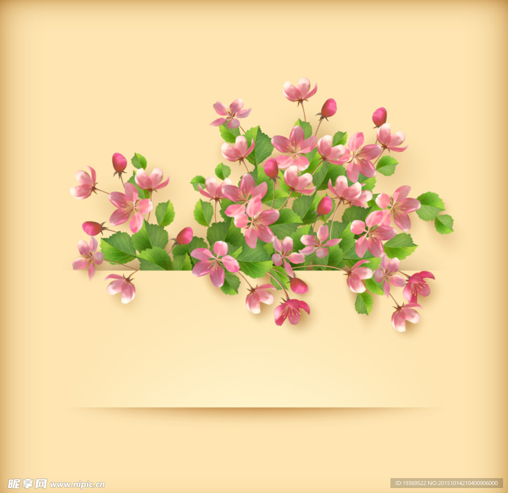 杏花背景矢量素材
