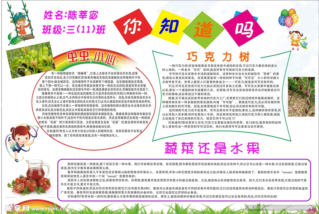 小学生手抄报