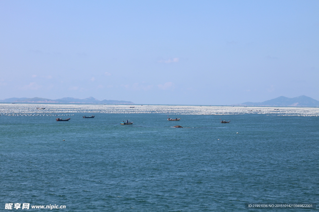 枸杞岛的海面