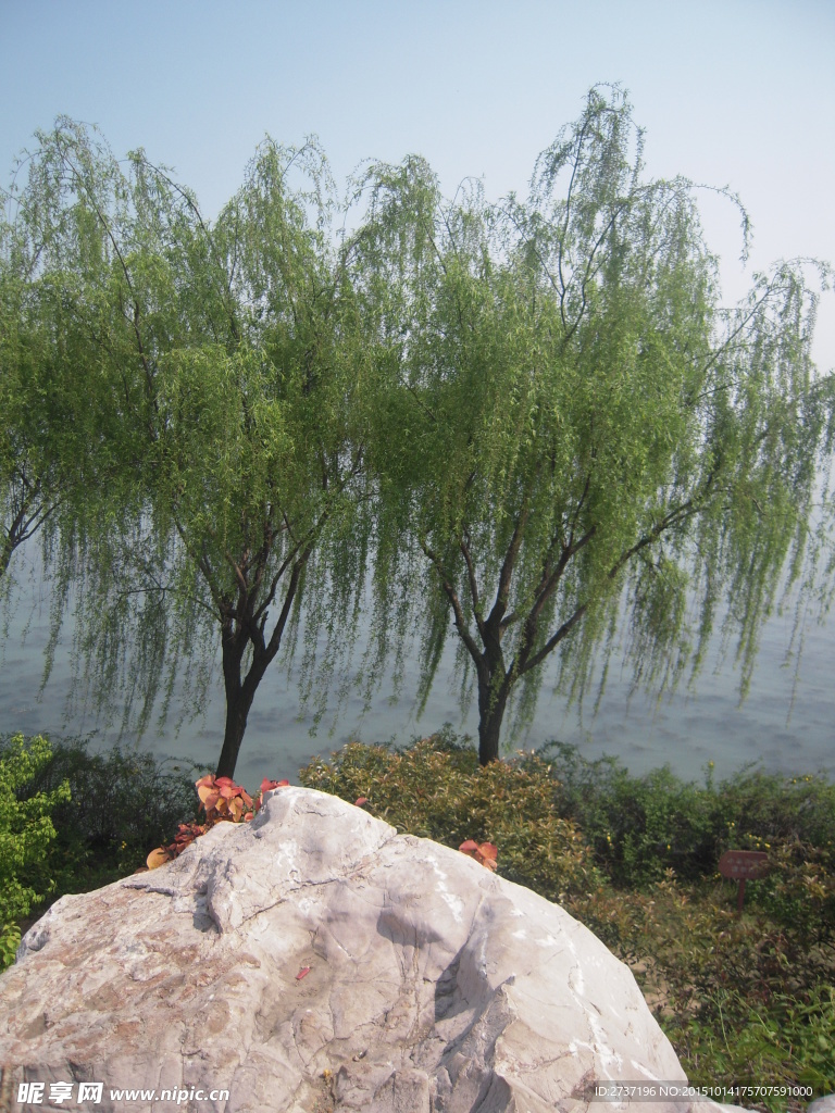 太湖风景