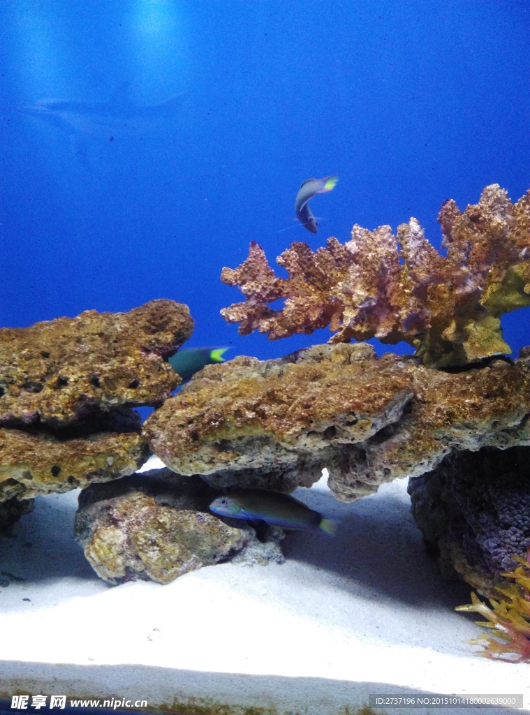 水族馆